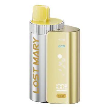 Lost Mary 4 in 1 Vape Kit