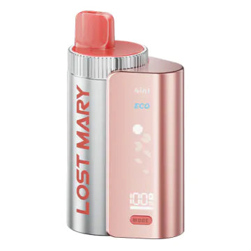 Lost Mary 4 in 1 Vape Kit