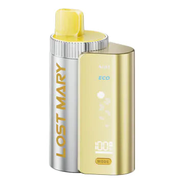 Lost Mary 4 in 1 Vape Kit